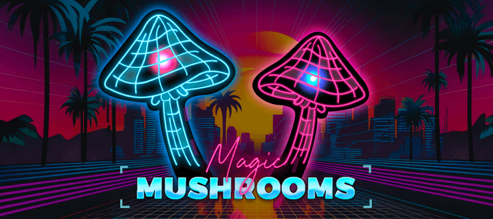 Magic Mushrooms Magic Mushrooms